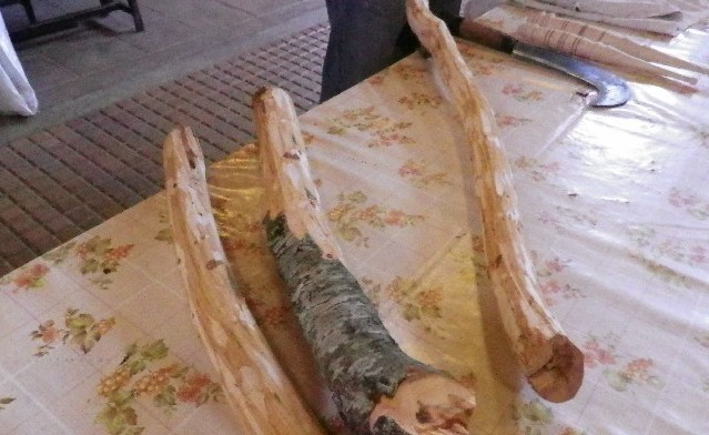 Les écorces ont été levées et mises à tremper la veille